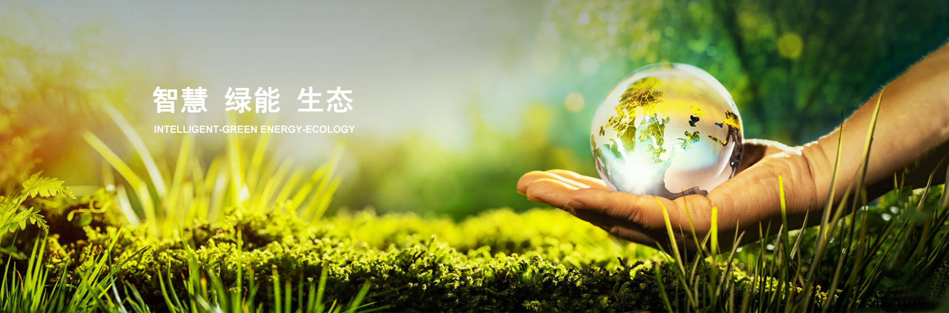 ����ϣ��williamhill(�й�)-�ٷ���վ